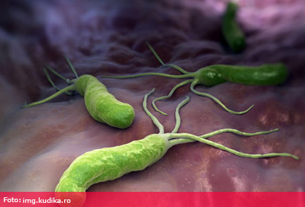 h bacterii pylori pierdere în greutate)